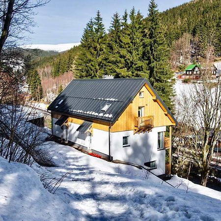 Apartman Reggie - Пец под Снескоу Екстер'єр фото